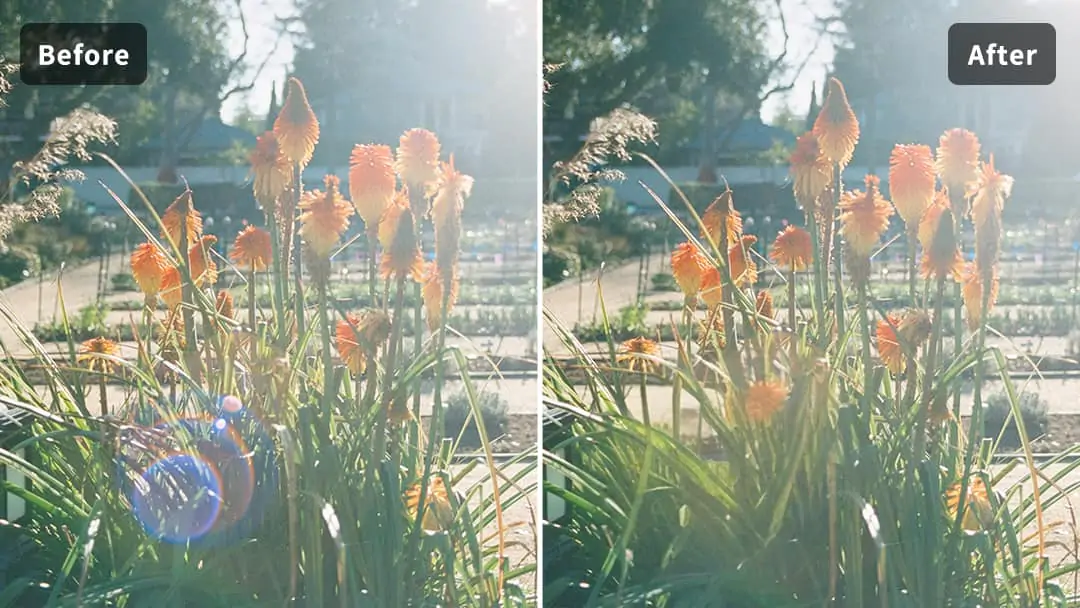 Remove Lens Flare and make the colors of the photo clearer