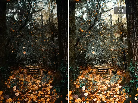 Enhance outdoor landscape photos taken in cloudy weather by increasing brightness with filters.