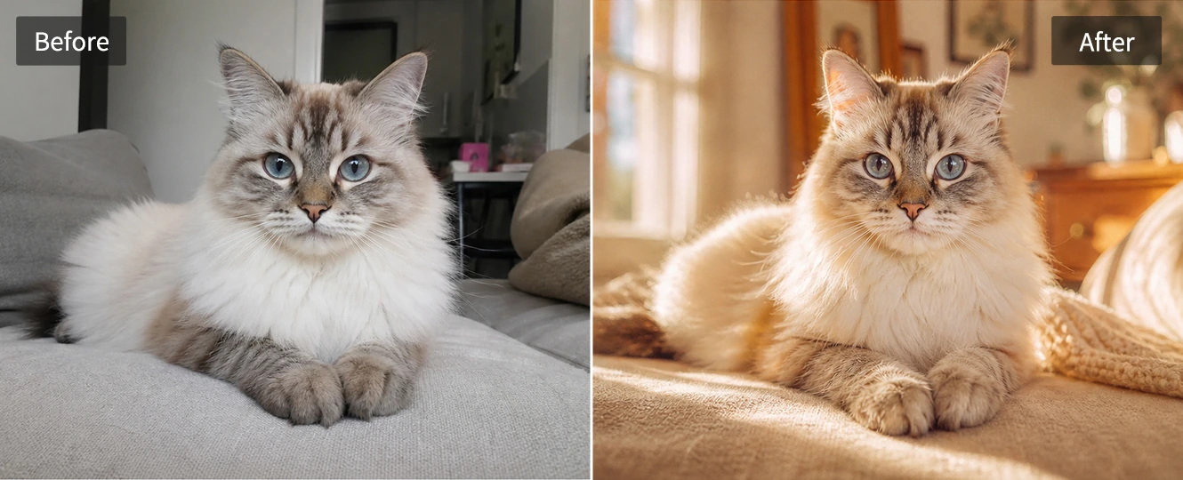 Pet photo with a dreamy aesthetic look