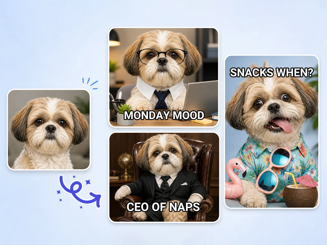 Make a funny pet meme from a real animal photo