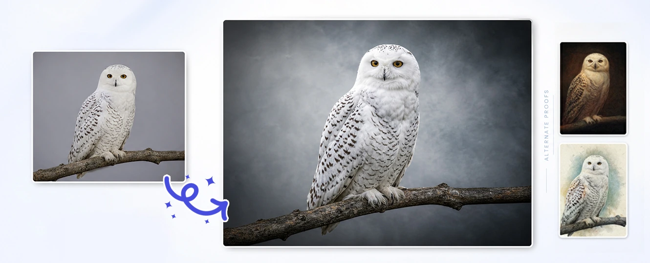 Test animal portrait styles for photography clients