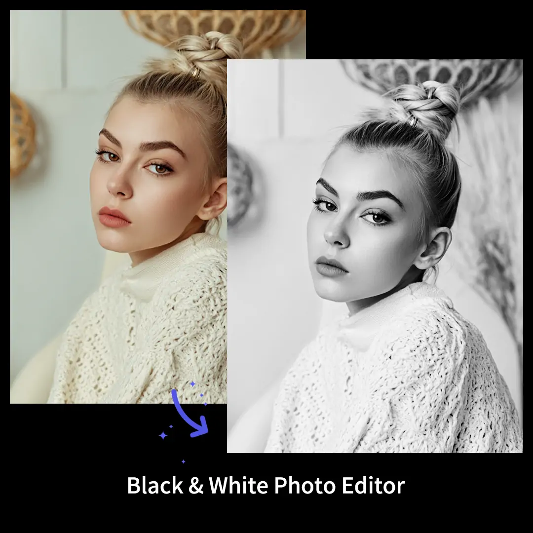 Use Pokecut black white color photo editor to convert portrait color to black and white