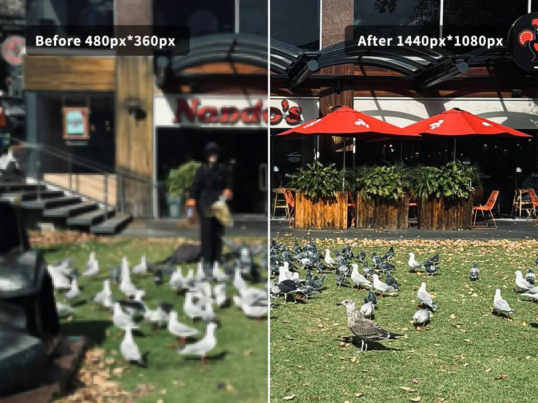 Use AI pictures upscaler to enhance low quality pictures to HD. Resolution up to 4K, comparable to professional camera.