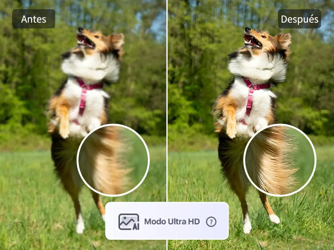 Aumentar imagen sin perder calidad a resolución ultra hd