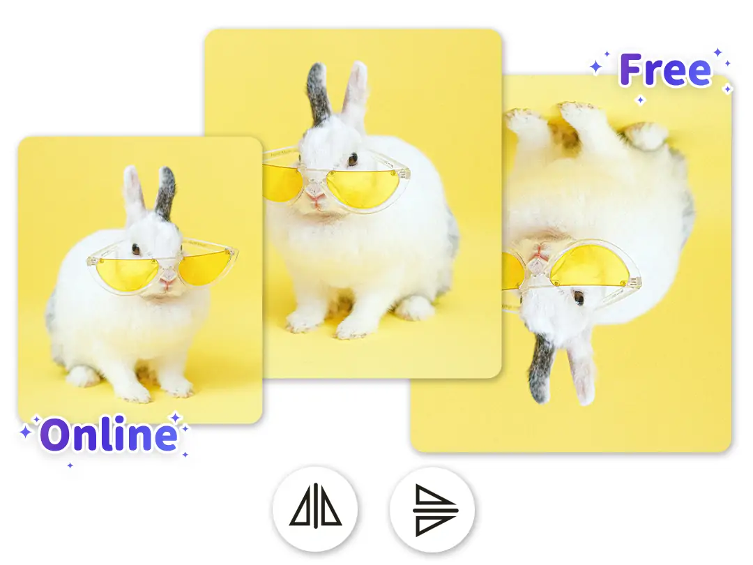 Photo being flipped horizontally and vertically with Pokecut