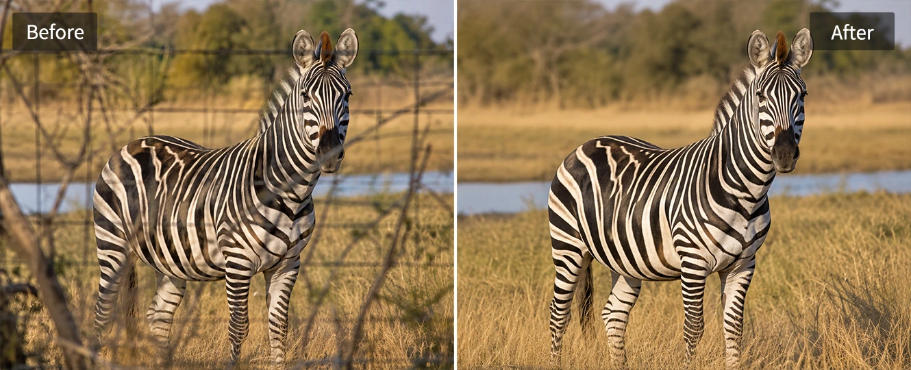 Remove fences wires and overlays from a photo