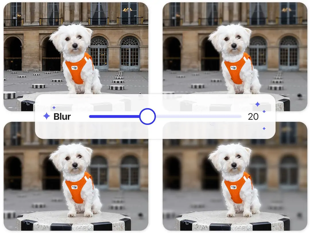 Adjust the blur level of your image