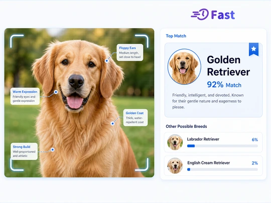 Dog Breed Identifier Online Free by Picture | Pokecut