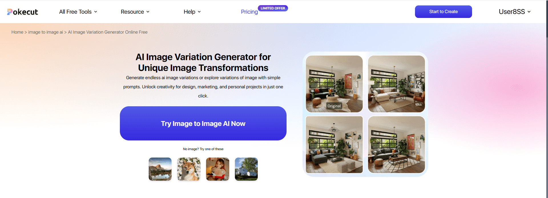 AI Image Variation Generator Online Free | Pokecut