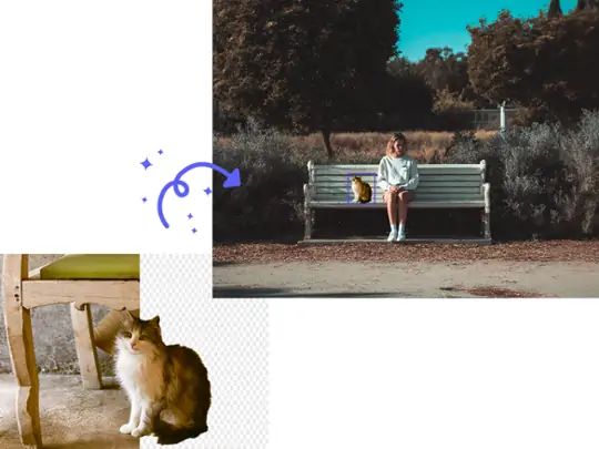 Place the cat photo with the background removed on the person photo.