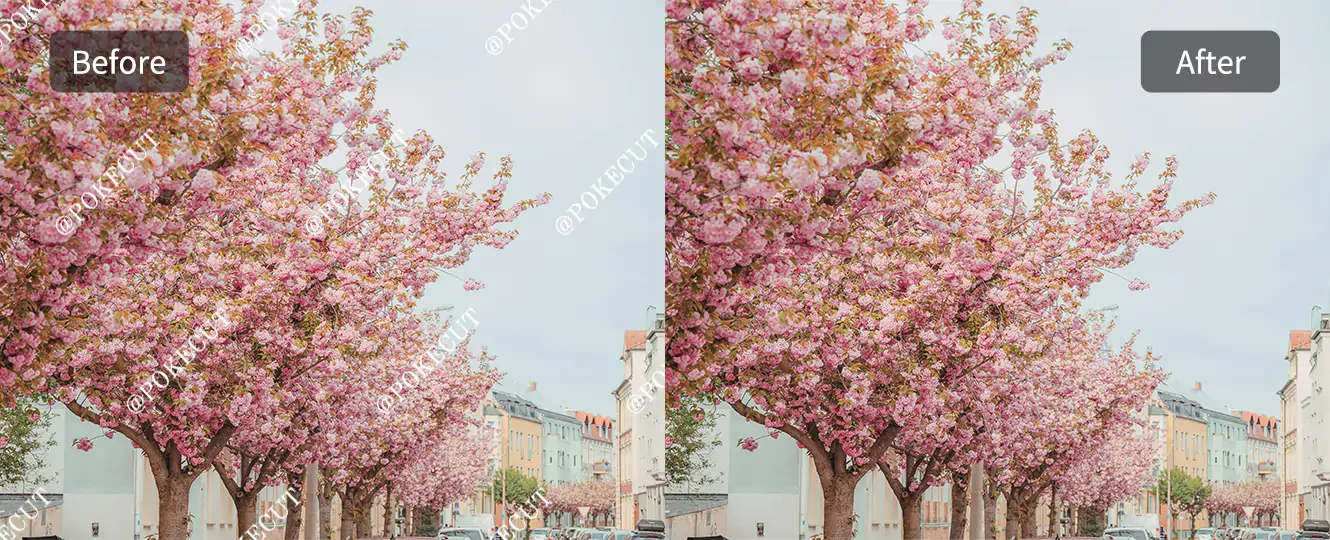 Comparison pictures of removing watermark