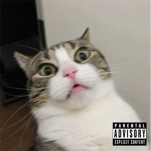 Parental advisory album cover template 1
