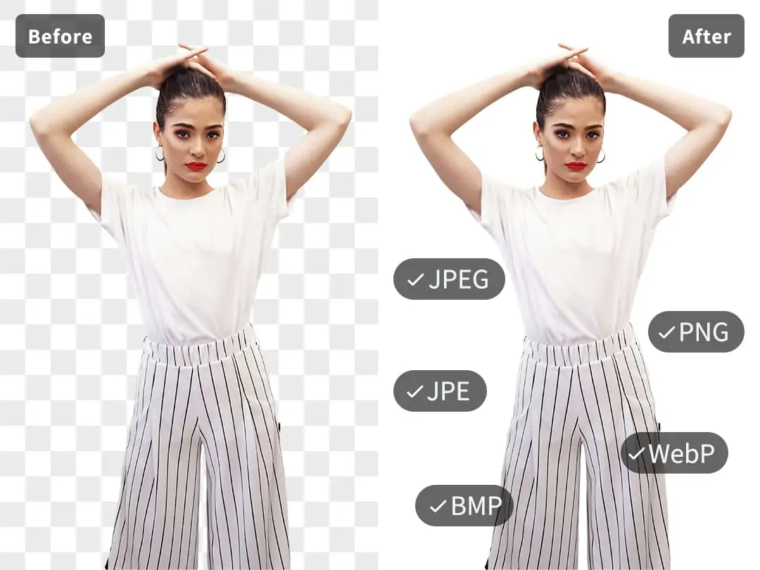Pokecut supports different image formats for removing checkered backgrounds