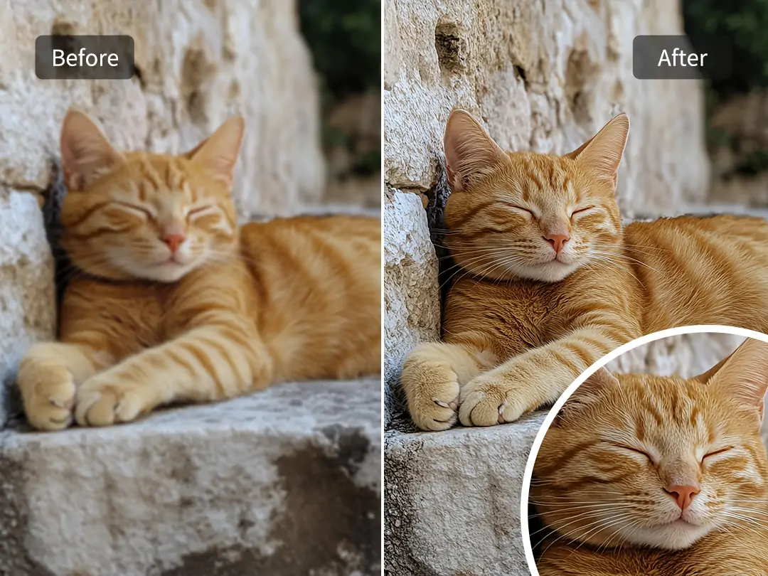 Use JPEG artifacting removal to enhance the clarity of a photo of a lying orange cat