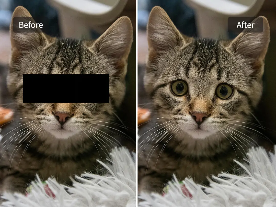 Censored cat face restored using Pokecut's AI mosaic remover tool