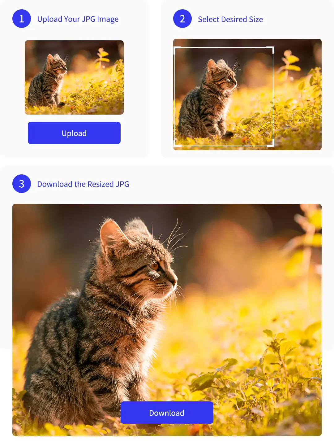 Three simple steps to resize JPGs to the ideal size