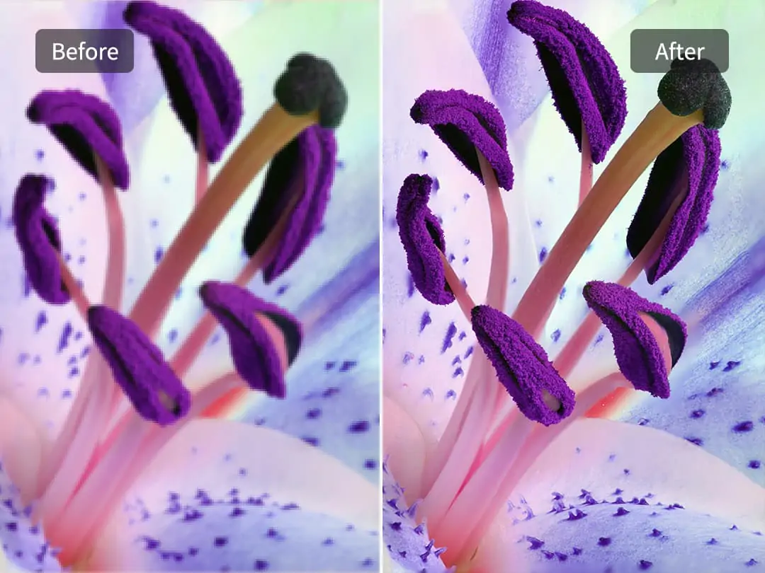 Pokecut's photo blur removal can make macro photos non-blurry