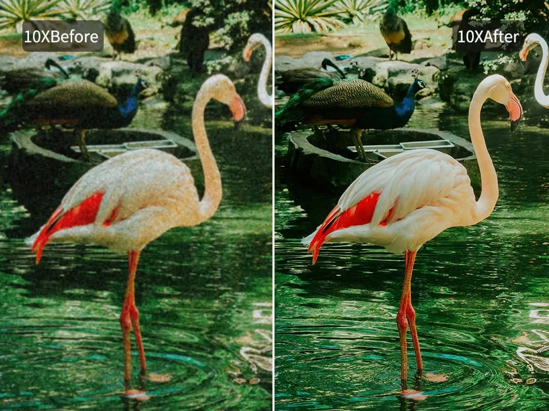 Easily remove noise and grain from your photos with our AI Denoise tool