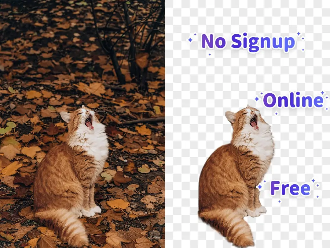 Convert webp to png with transparent background without signup